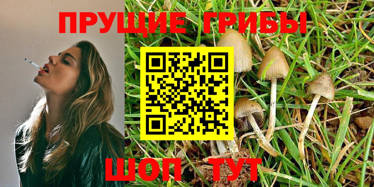 Южно-Сахалинск  Псилоцибиновые грибы MAGIC MUSHROOMS  Вход с VPN 