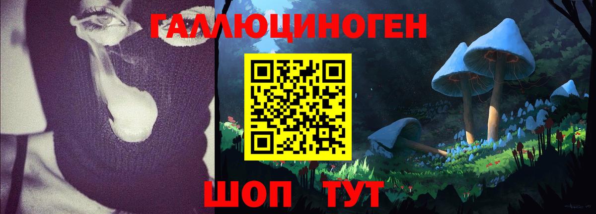 Псилоцибиновые грибы Psilocybine cubensis Южно-Сахалинск